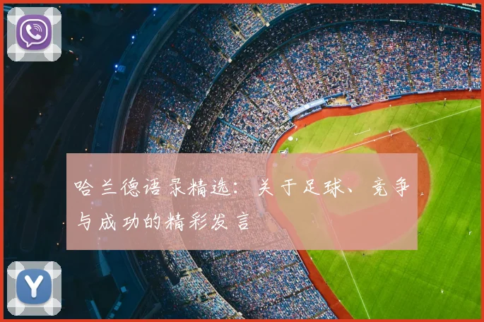 哈兰德语录精选:关于足球、竞争与成功的精彩发言