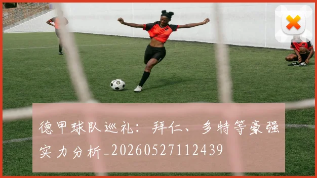 德甲球队巡礼：拜仁、多特等豪强实力分析_20260527112439
