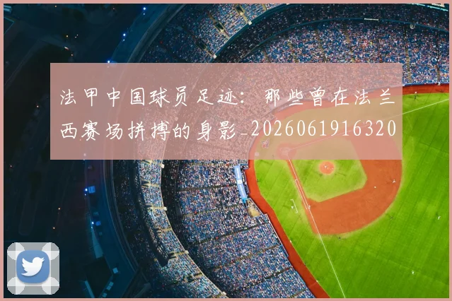 法甲中国球员足迹：那些曾在法兰西赛场拼搏的身影_20260619163200