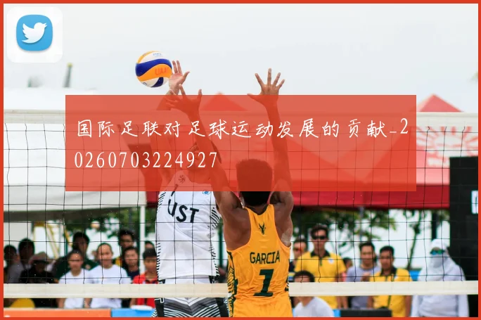 国际足联对足球运动发展的贡献_20260703224927