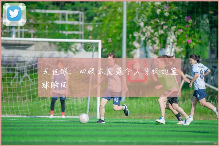 五佳球：回顾本周最令人惊叹的篮球瞬间